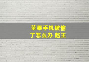 苹果手机被偷了怎么办 赵王